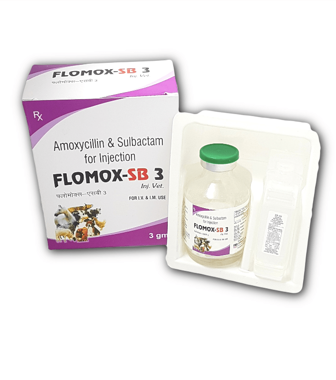 Flomox-SB 3 Injection